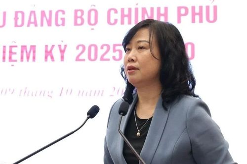 1,5 triệu người Việt Nam được trợ giúp đột xuất do ảnh hưởng bởi thiên tai, bão lũ mỗi năm
