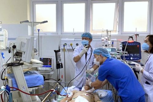 Kỹ thuật ECMO cứu sống nhiều bệnh nhân nguy kịch