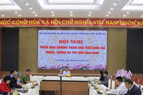 Triển khai Chương trình mục tiêu quốc gia phòng, chống ma túy đến năm 2030