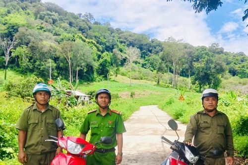 Giữ rừng, giữ bình yên ở Hàm Thạnh