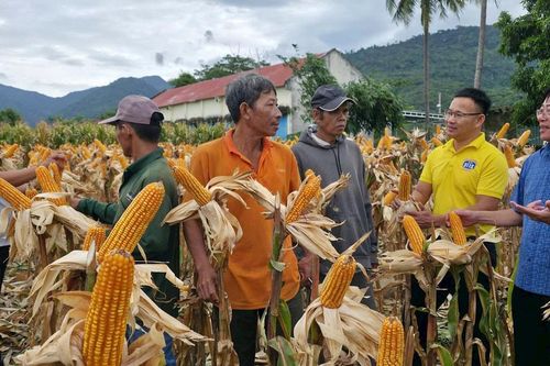 Kết nối ba vùng – Lan tỏa chính sách vùng cao
