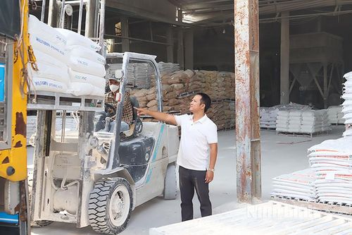 Bí thư chi bộ sản xuất, kinh doanh giỏi