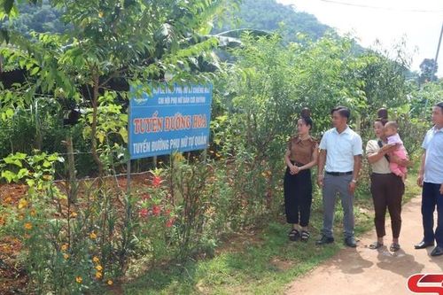 Nhiều hoạt động chào mừng đại hội đại biểu MTTQ các cấp