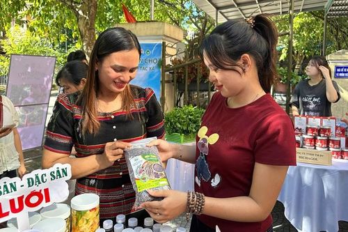 'Hạt ngọc' của núi rừng