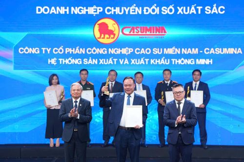Casumina nhận Giải thưởng Chuyển đổi số Việt Nam 2025