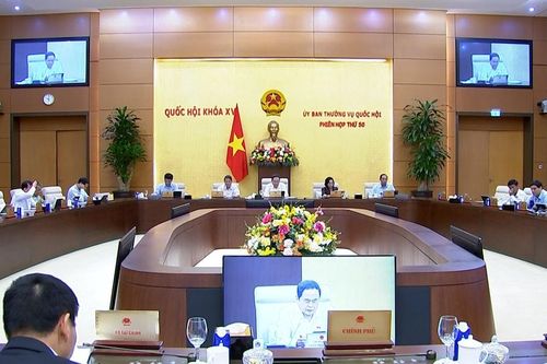 Phân cấp mạnh, giảm gánh nặng báo cáo – hướng tới hệ thống thống kê minh bạch, hiệu quả