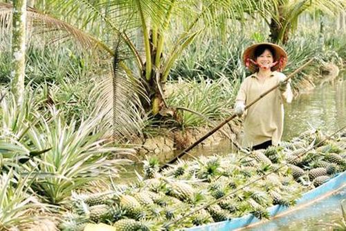 Động lực xây dựng nông thôn mới từ những vùng đất trù phú ở An Giang