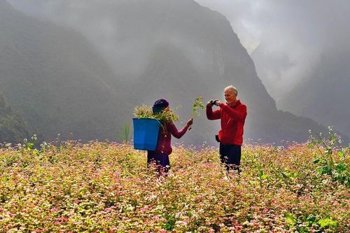 Hội An, cung đường Hà Giang nổi trội trong các điểm đến du lịch thu - đông