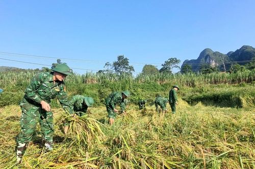 Bộ đội biên phòng tỉnh ra quân tổng vệ sinh môi trường, giúp dân khắc phục hậu quả bão số 11