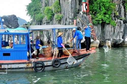 Kiểm toán chỉ ra nghịch lý tại Quảng Ninh: Thu nhiều, chi ít, rác thải tồn đọng lớn