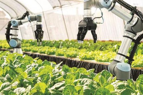Nông nghiệp công nghệ cao: Biến cơ hội thành sức bật tăng trưởng