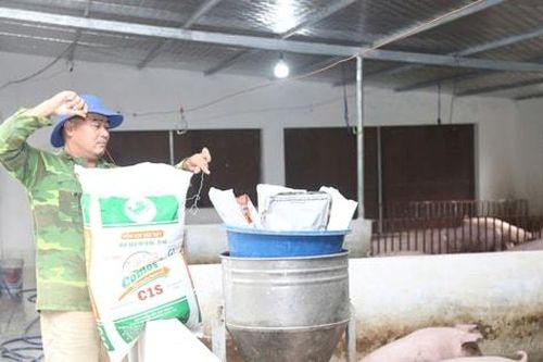 Gieo hạt đam mê - gặt mùa no ấm