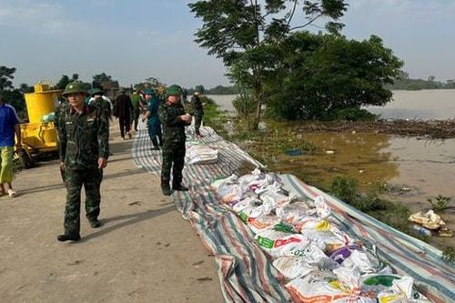 Bắc Ninh: Khẩn trương gia cố đê sông Cầu tại xã Tam Giang, bảo vệ an toàn dân cư