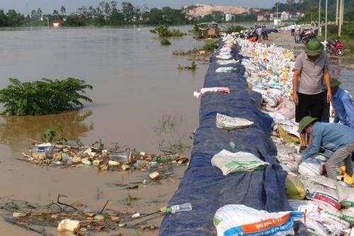 Nước trên sông Cầu cao hơn mặt đê gần nửa mét, người dân Bắc Ninh 'căng mình' đắp đập, ngăn lũ