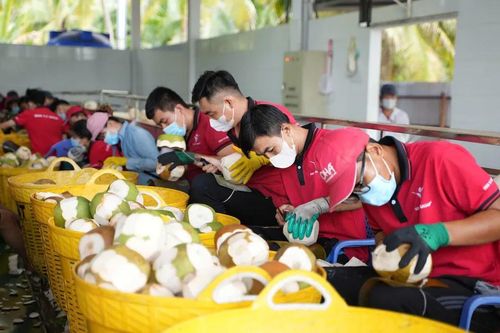 Nông sản Việt 'vượt sóng' biến đổi khí hậu để chinh phục thị trường thế giới