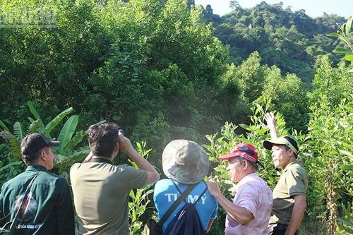 Đổi mới công nghệ trong giám sát và bảo tồn đa dạng sinh học