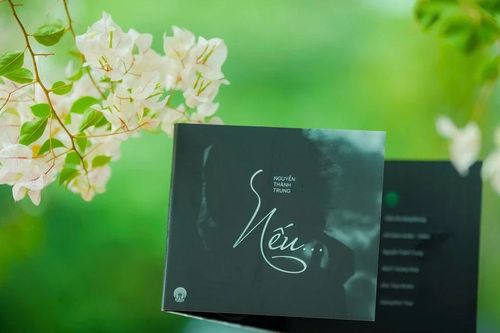 Nhạc sĩ Nguyễn Thành Trung ra mắt album 'Nếu…' chào mùa thu