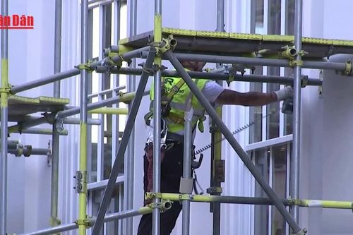 Anh nới lỏng điều kiện nhập cư để giải quyết thiếu hụt lao động