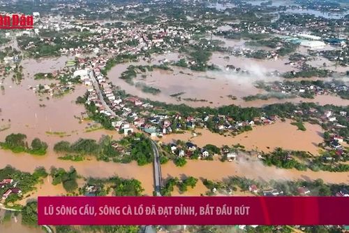 Lũ sông Cầu, sông Cà Lồ đã đạt đỉnh, bắt đầu rút