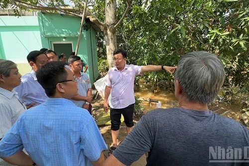 Lãnh đạo phường Sa Đéc kiểm tra, chỉ đạo khắc phục nhanh sự cố vỡ đê
