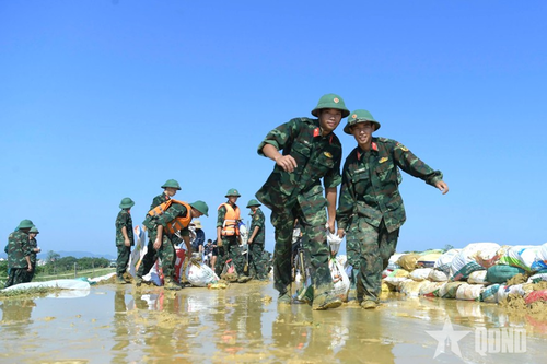 Sư đoàn 3 dốc sức hộ đê sông Cầu