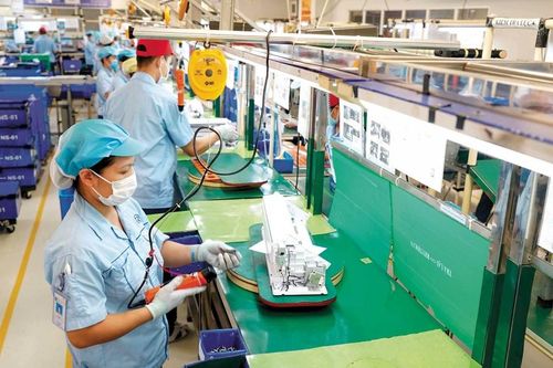 Lĩnh vực công nghệ thông tin được dự báo dẫn đầu về tăng trưởng tiền lương ở Việt Nam