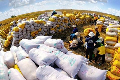 Thành lập Phân ban Việt Nam trong Ủy ban Hỗn hợp Thương mại Việt Nam – Cuba