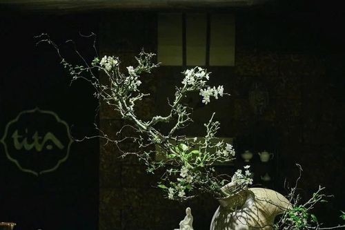Triển lãm nghệ thuật cắm hoa Nhật Bản 'Tương giao'
