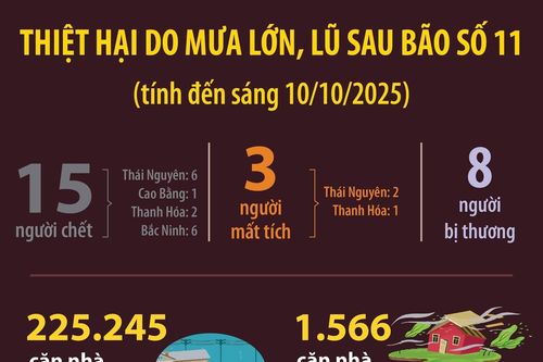 Thiệt hại do mưa lớn, lũ sau bão số 11 (tính đến sáng 10/10/2025)