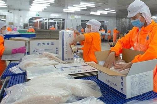 Cổ phiếu ANV của Thủy sản Nam Việt bật tăng sau tin vui từ cổ tức