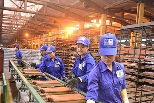 Viglacera Đông Triều đã âm vốn chủ sở hữu
