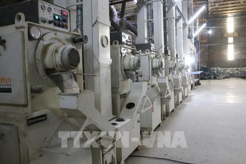 Kinh tế Cần Thơ bứt tốc nhờ công nghiệp chế biến và doanh nghiệp đăng ký mới
