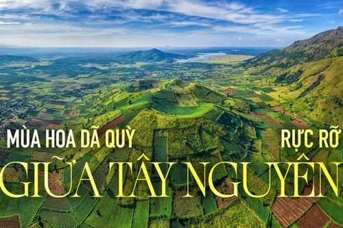 Chư Đăng Ya - Mùa hoa dã quỳ rực rỡ giữa Tây Nguyên