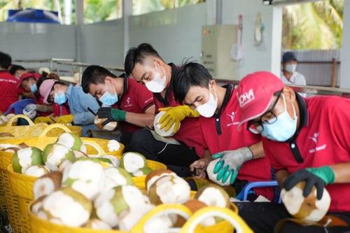 Trái dừa Việt 'thay đổi cuộc chơi' tại Mỹ bằng chiến lược ít ai ngờ