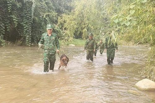 Phất cao cờ Quyết thắng hướng về Đại hội đại biểu Đảng bộ tỉnh lần thứ XX