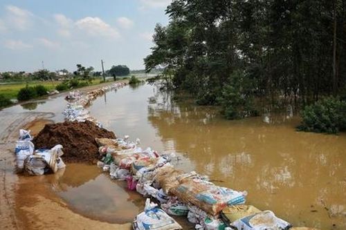 Bắc Ninh: Bí thư Chi bộ thôn Tân Sơn (Hợp Thịnh) qua đời khi đang làm nhiệm vụ chống lũ
