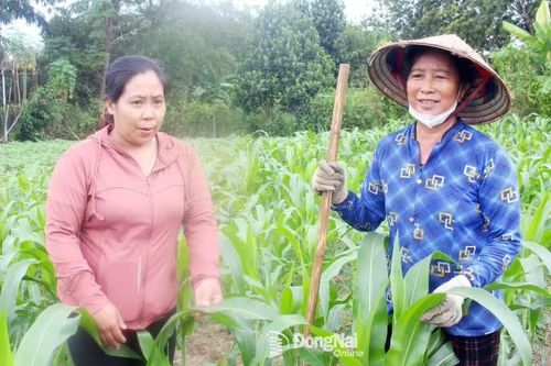 Bức tranh tươi sáng ở ấp Suối Đôi