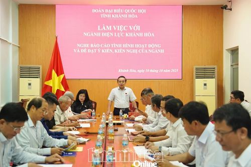 Đoàn Đại biểu Quốc hội tỉnh làm việc với ngành Điện Khánh Hòa