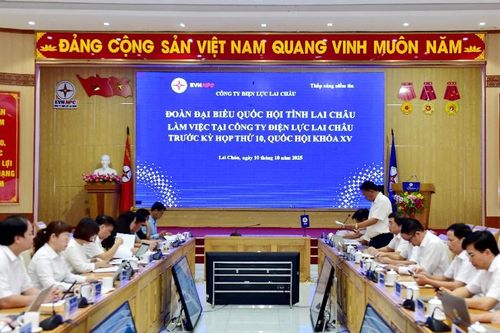 Đoàn Đại biểu Quốc hội tỉnh làm việc với Công ty Điện lực Lai Châu