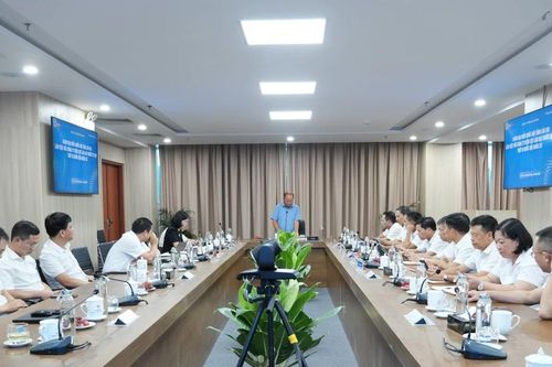 Đoàn đại biểu Quốc hội tỉnh làm việc với Công ty Điện lực Lào Cai