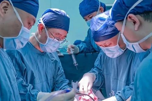 Trung Quốc công bố ca ghép gan lợn trên người đầu tiên sống lâu nhất thế giới