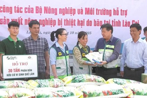 Trung tâm Khuyến nông Quốc gia hỗ trợ khẩn cấp giúp nông dân Lào Cai khôi phục sản xuất