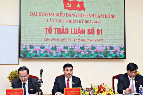 Đại hội đại biểu Đảng bộ tỉnh Lâm Đồng lần thứ I tiến hành thảo luận tổ
