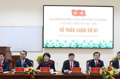 68 lượt ý kiến góp ý tại phiên thảo luận tổ Đại hội Đảng bộ tỉnh Lâm Đồng