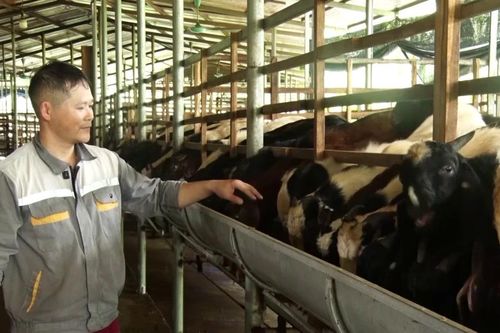 Đổi mới tư duy để thoát nghèo