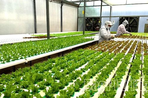 Đồng bằng kết hợp miền núi - Cơ hội và thử thách của ngành Nông nghiệp
