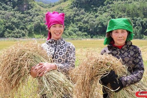 Mùa vàng Ngọc Chiến