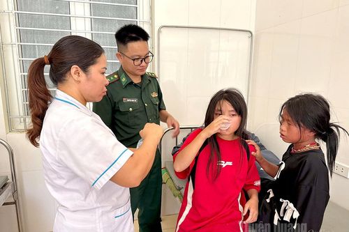 Kịp thời cấp cứu 10 học sinh tiểu học bị ong vò vẽ rừng đốt