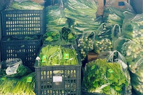 Công đoàn Tổng công ty Thép Việt Nam: Khẩn trương, tích cực cứu trợ người lao động khắc phục hậu quả bão số 10, 11