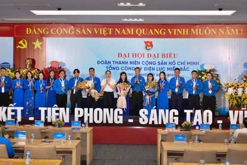 Tuổi trẻ EVNNPC: Tiên phong đổi mới, vững vàng xung kích trong kỷ nguyên chuyển đổi số